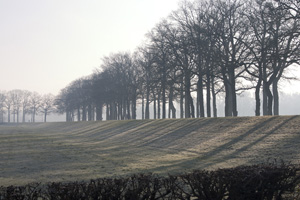 220110-011