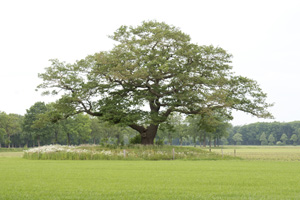 220523-©Geert Bistervels-014