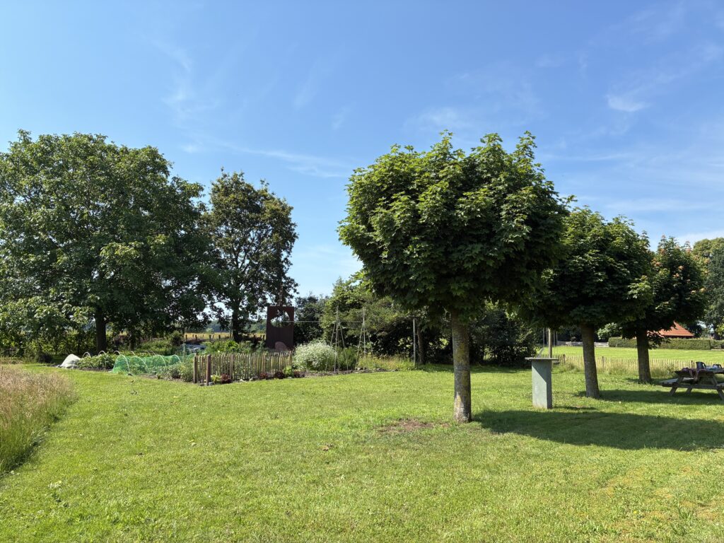 Erve Lindeboom
